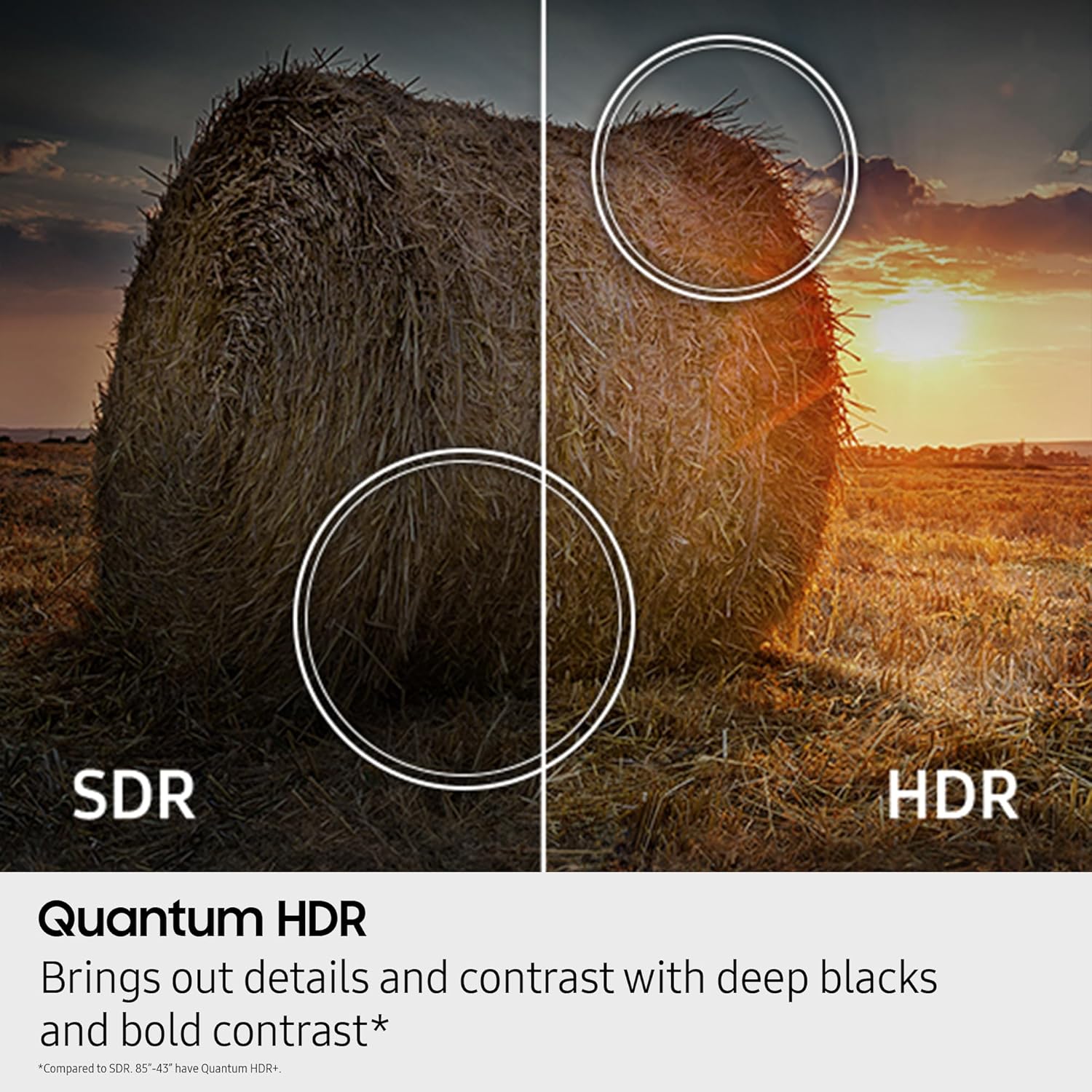 Samsung 32-Inch Class QLED Q8F 4K UHD Smart TV (2025 Model) Q4 AI Processor, 100% Color Volume with Quantum Dot, AirSlim Design, Endless Free Content, Samsung Vision AI, Alexa Built-in - Image 13