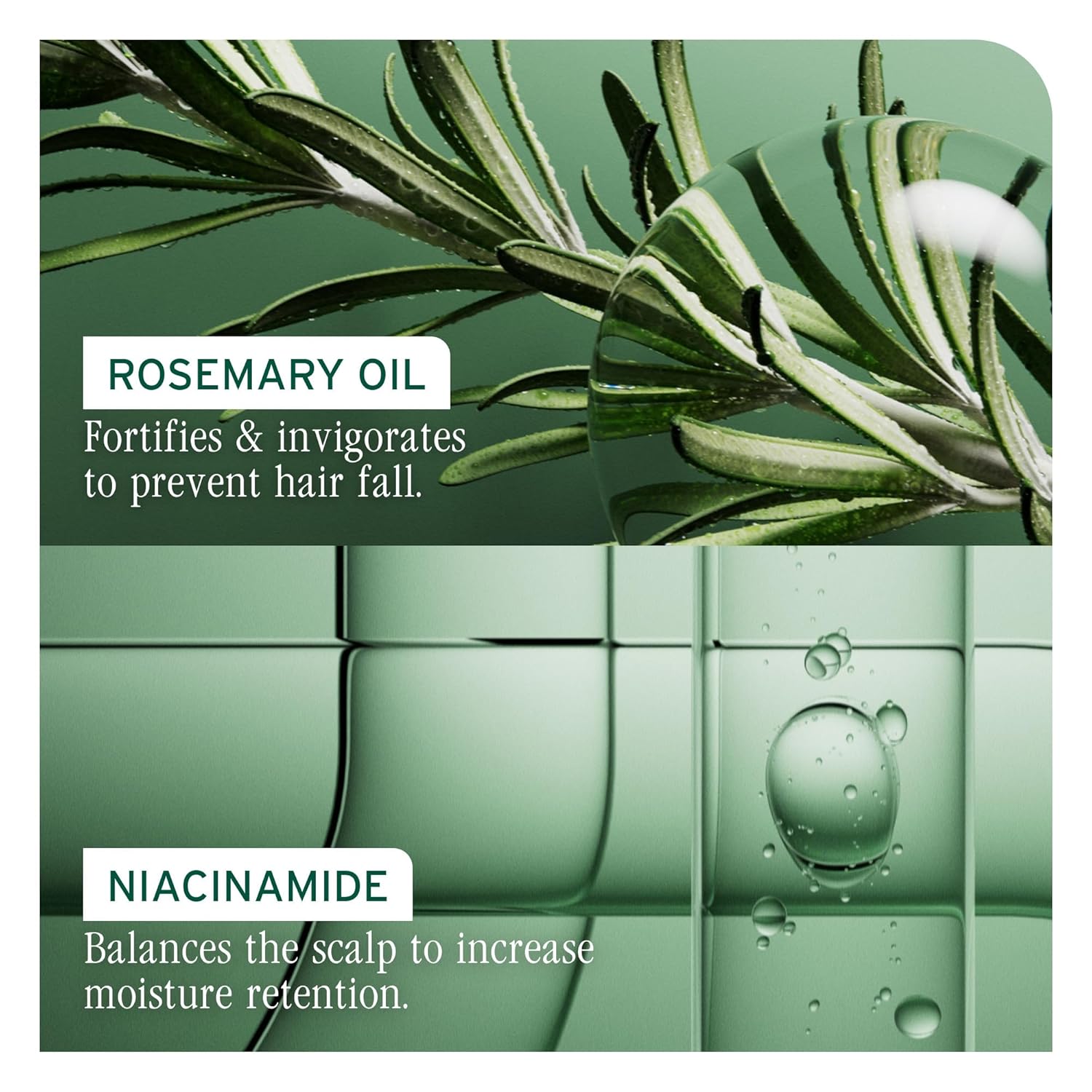 Biolage Full Rescue Shampoo for Thin Hair - Fortifies & Strengthens for Instantly Fuller-Looking Hair, Rosemary Oil & Niacinamide, Vegan & Cruelty-Free - Image 7