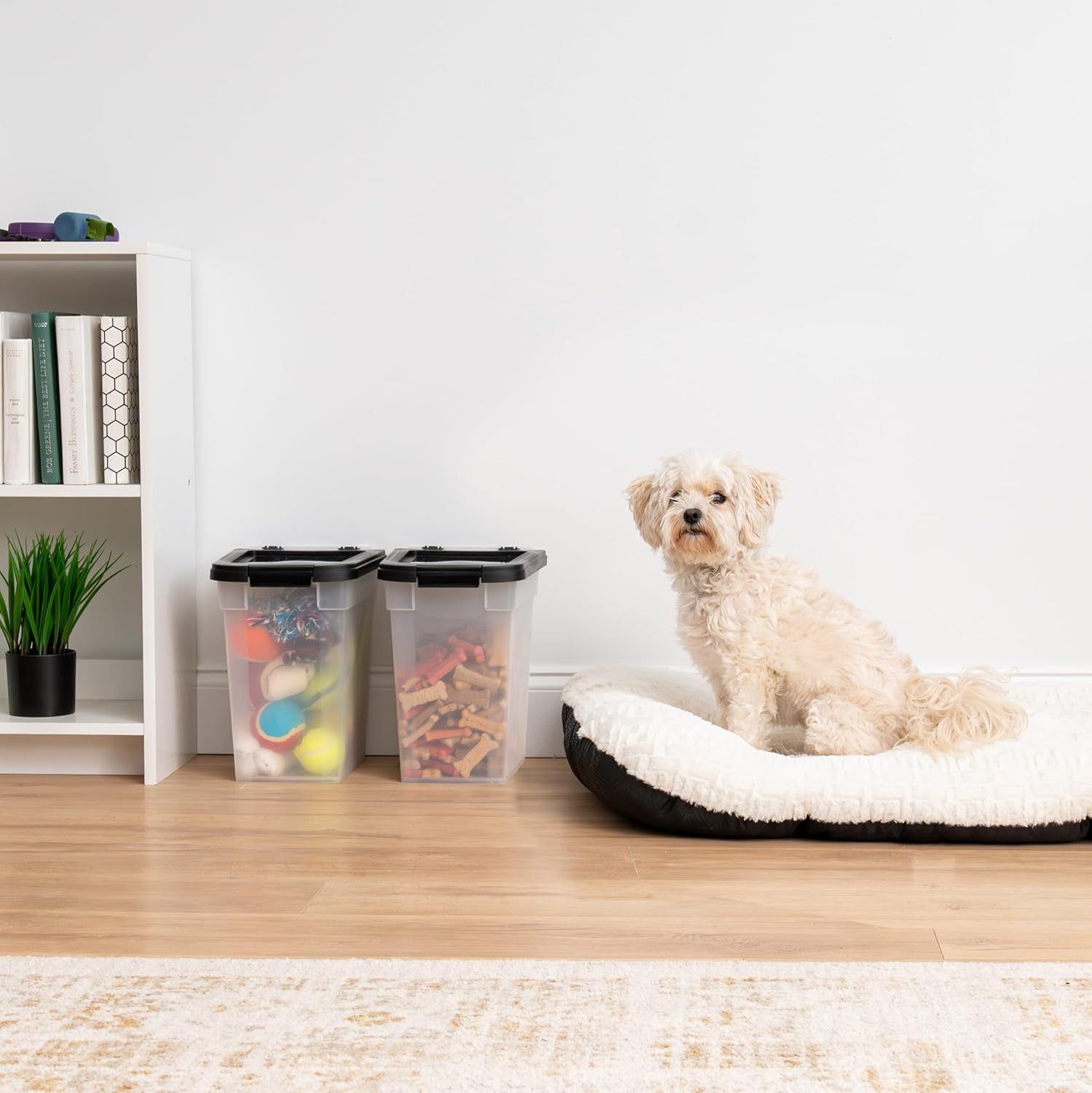 IRIS USA Airtight Dog Food Storage Container, Up to 10 lbs Each, 2 Pack, for Dog Cat Bird and Other Pet Food Storage Bin, Keep Fresh, Translucent Body, BPA Free, Clear/Black - Image 6