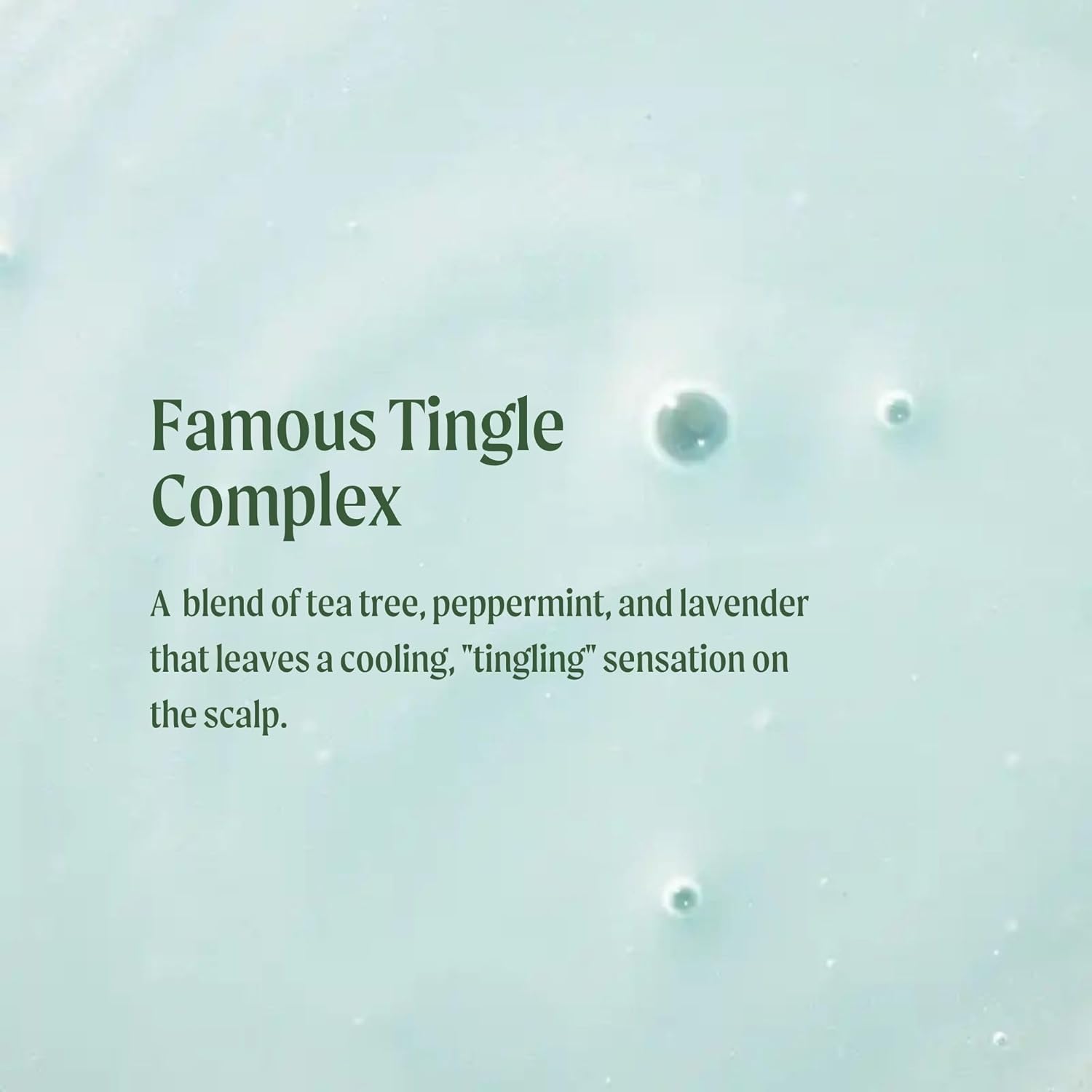 Tea Tree Special Shampoo, Deep Cleans, Refreshes Scalp, For All Hair Types, Especially Oily Hair - Image 3