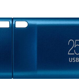 Samsung Type-C USB Flash Drive, 256GB, Transfers 4GB Files in 11 Secs w/Up to 400MB/s USB 3.2 Gen 1 Read Speeds, Compatible w/USB 3.0/2.0, Waterproof, 2022, Blue, MUF-256DA/AM