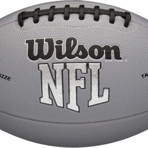 Wilson NFL Recreational Footballs