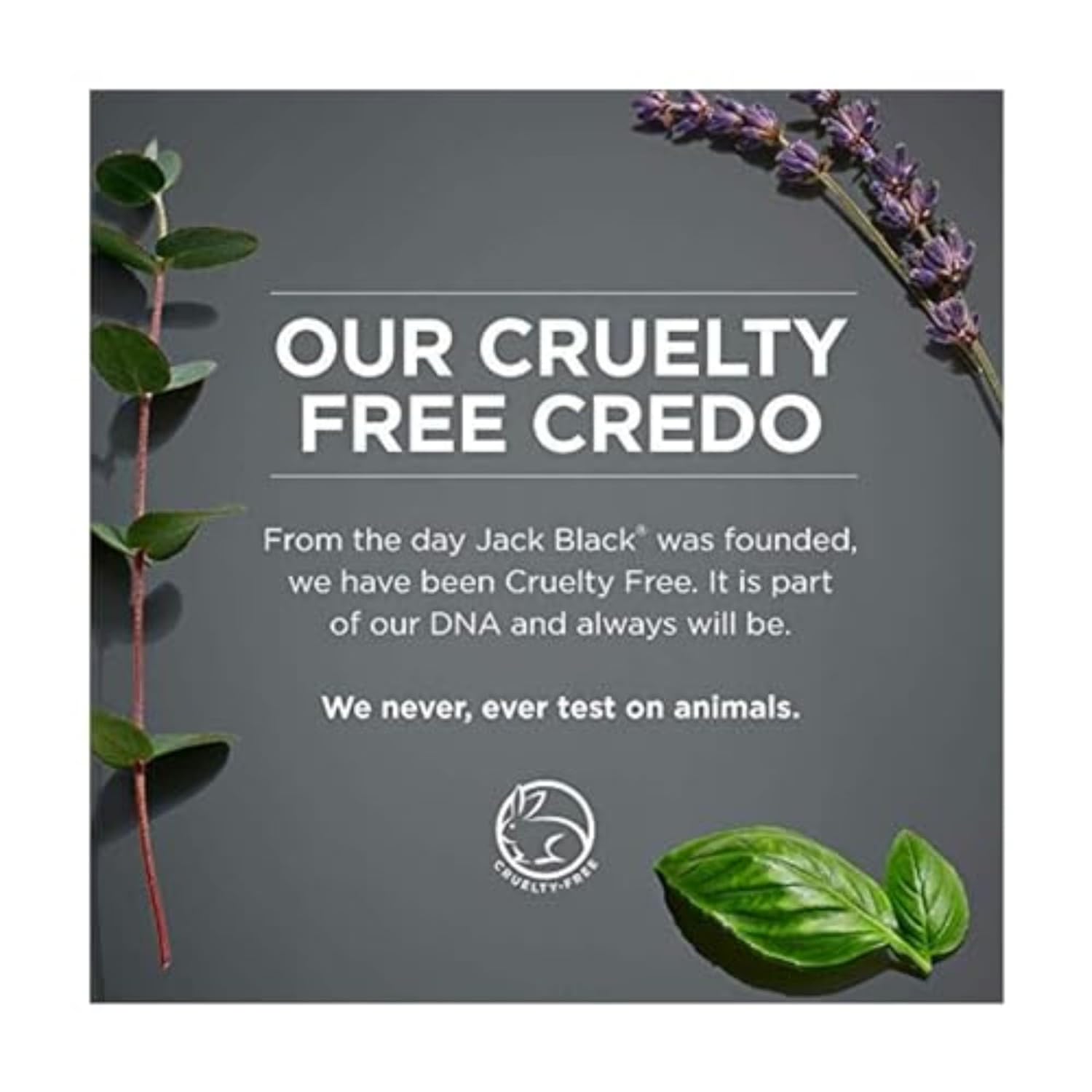 Jack Black Beard Lube Conditioning Shave - Beard Conditioner for Men, Mens Gifts - Image 3