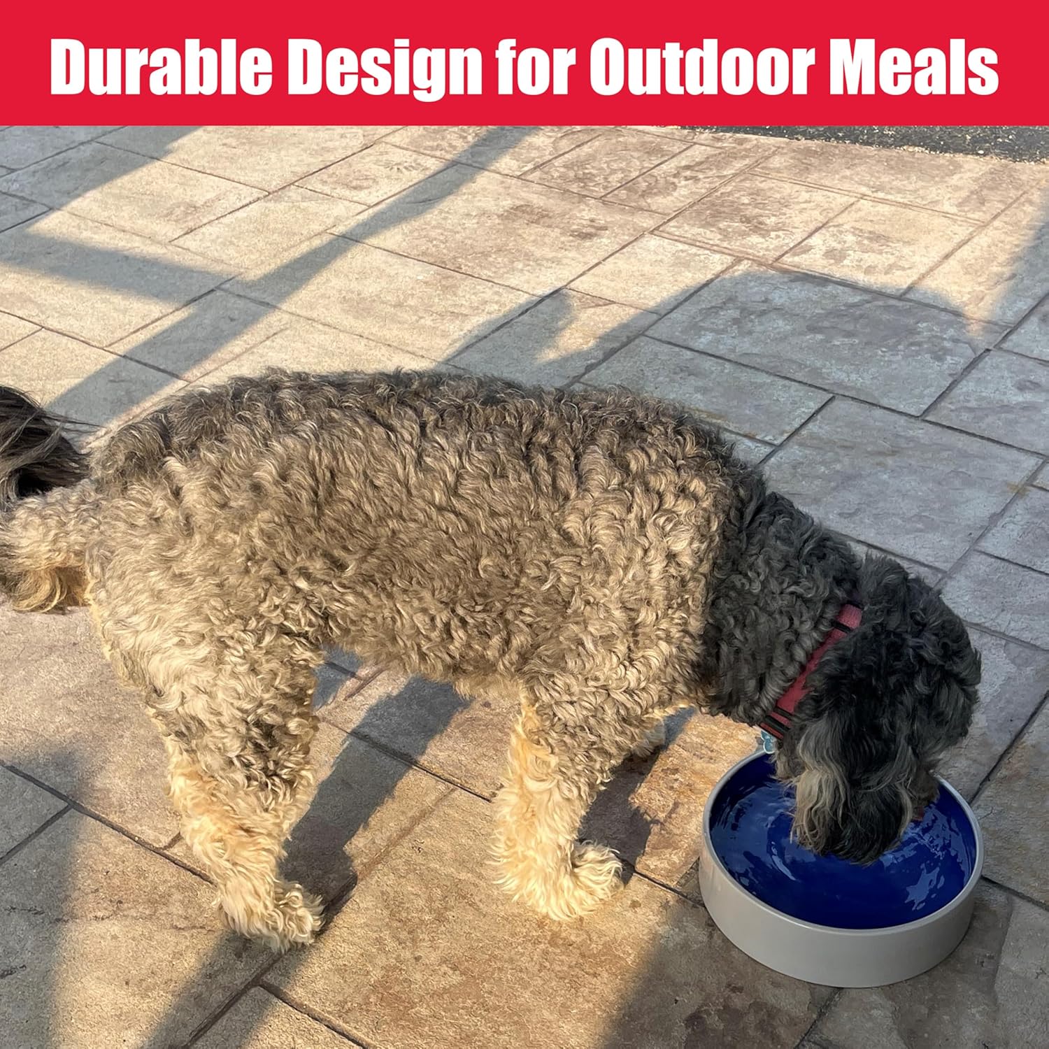 SPOT Standard Crock Dish - Heavy Duty, Non-Slip, Round Ceramic Food/Water Bowl for Pets, Ideal for Medium to Large Dogs or Multiple Animals, Dishwasher Safe - 9.5 in, 8 Cups, (64 Oz) - Image 6