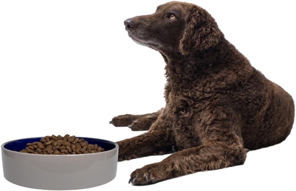 SPOT Standard Crock Dish - Heavy Duty, Non-Slip, Round Ceramic Food/Water Bowl for Pets, Ideal for Medium to Large Dogs or Multiple Animals, Dishwasher Safe - 9.5 in, 8 Cups, (64 Oz) - Image 9