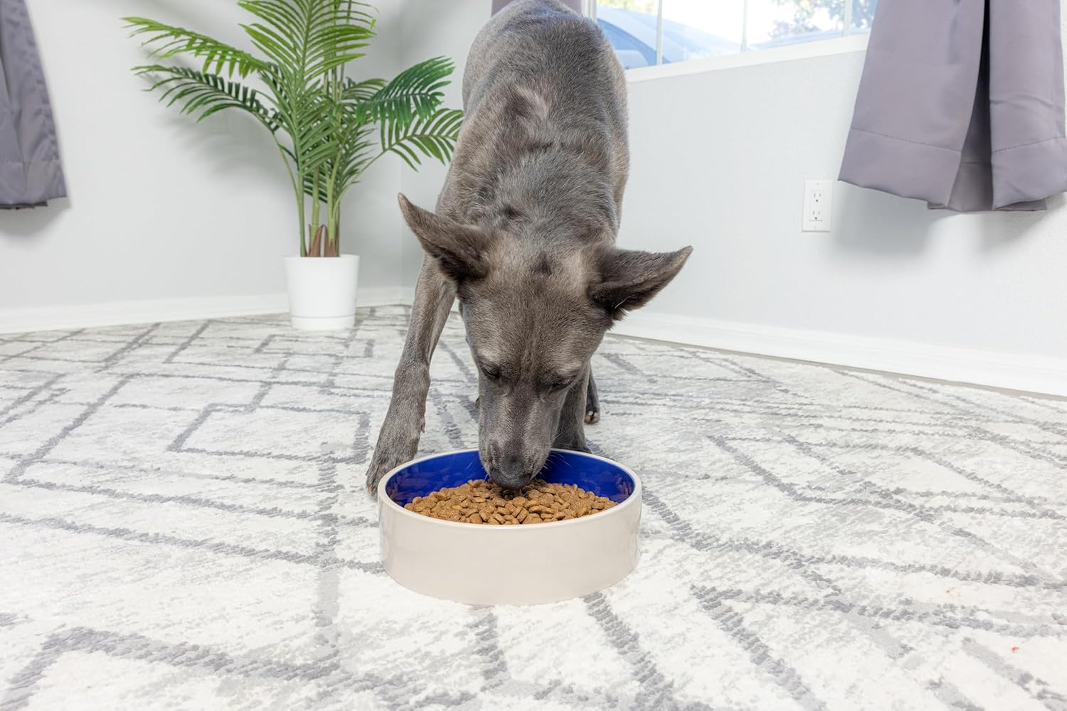 SPOT Standard Crock Dish - Heavy Duty, Non-Slip, Round Ceramic Food/Water Bowl for Pets, Ideal for Medium to Large Dogs or Multiple Animals, Dishwasher Safe - 9.5 in, 8 Cups, (64 Oz) - Image 10