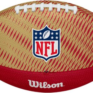 WILSON Unisex NFL Team Tailgate Footballs