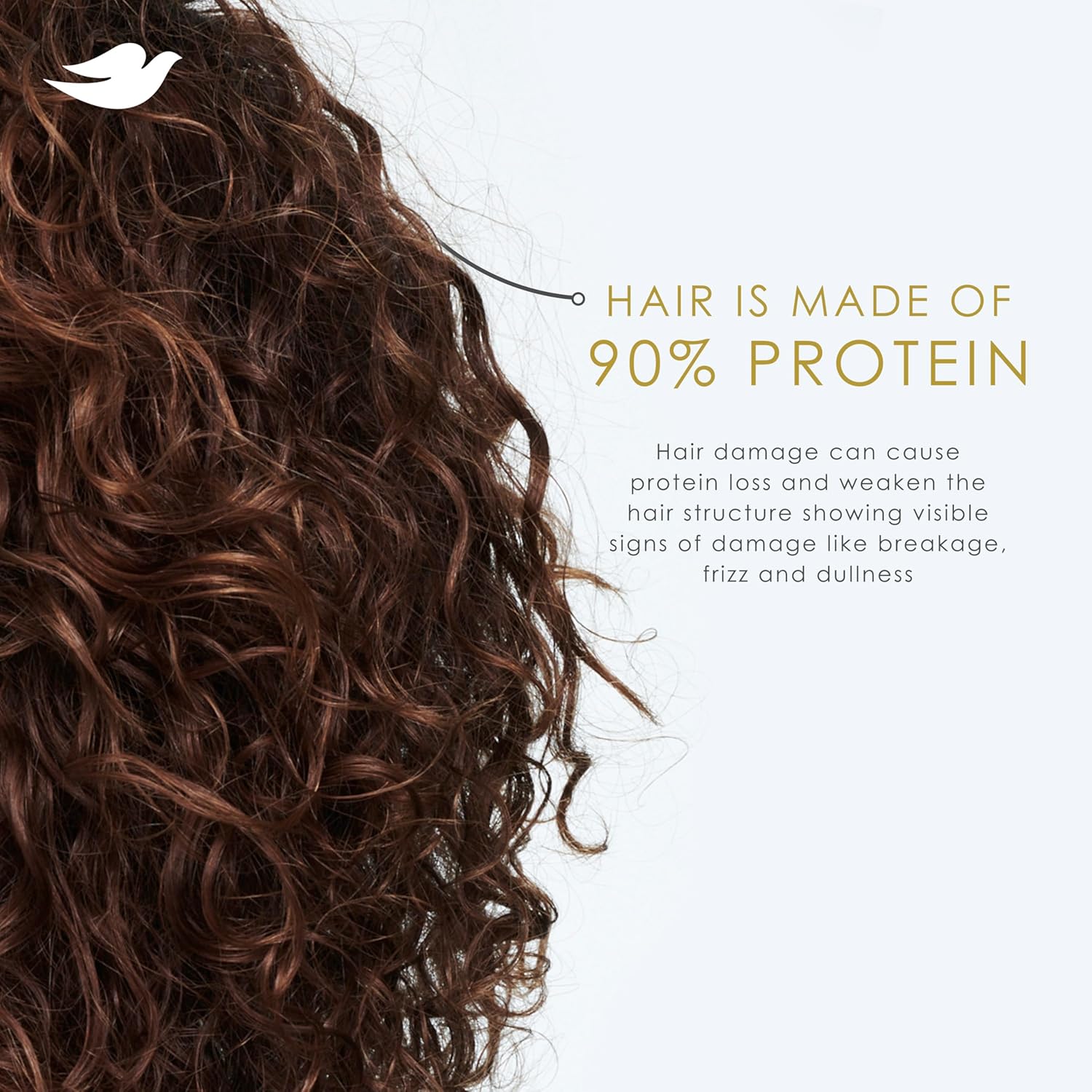 Dove Shampoo Coconut & Hydration for Dry Hair with Bio-Protein Care Technology and Coconut Oil 28 Fl Oz - Image 11