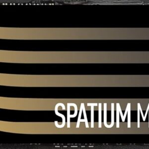 MSI Gaming SPATIUM M480 PRO PCIe 4.0 NVMe M.2 1TB Internal SSD (PCIe Gen4, NVMe 1.4, M.2 2280, Read 7400 MB/S, Write 6000 MB/S, 1TB)