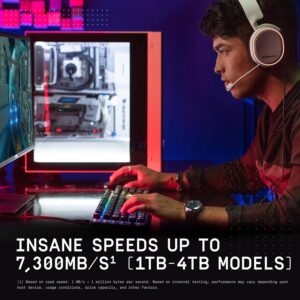 WD_BLACK 1TB SN850X NVMe Internal Gaming Solid State Drive with Heatsink – Works with Playstation 5, Gen4 PCIe, M.2 2280, Up to 7,300 MB/s – WDS100T2XHE